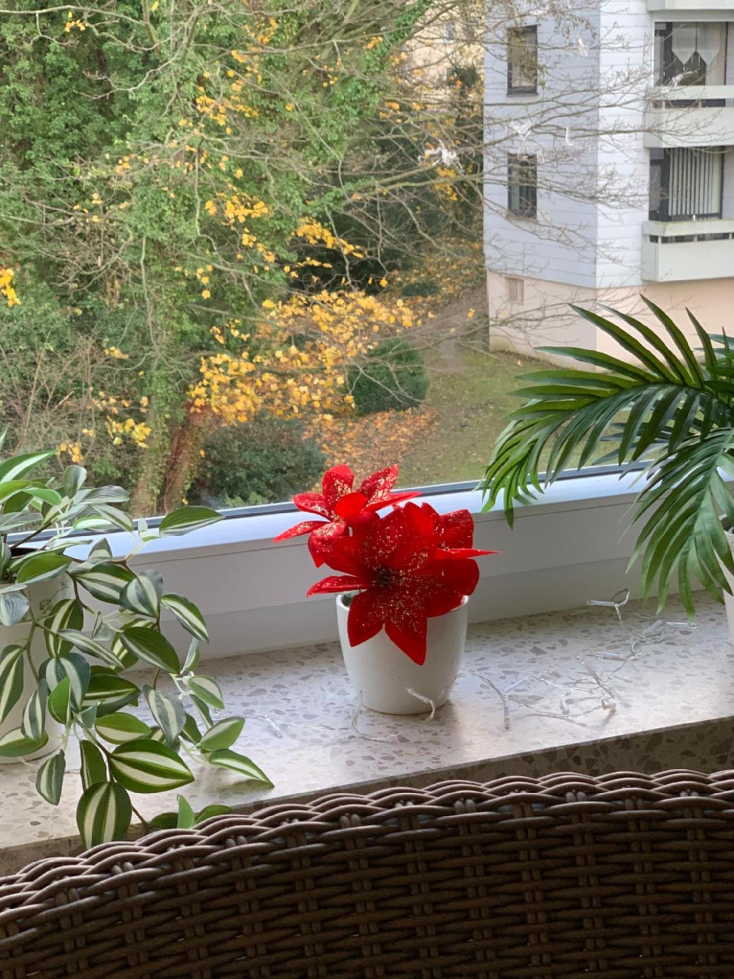 Ferienwohnung Doretta Bad Harzburg Bagian luar foto